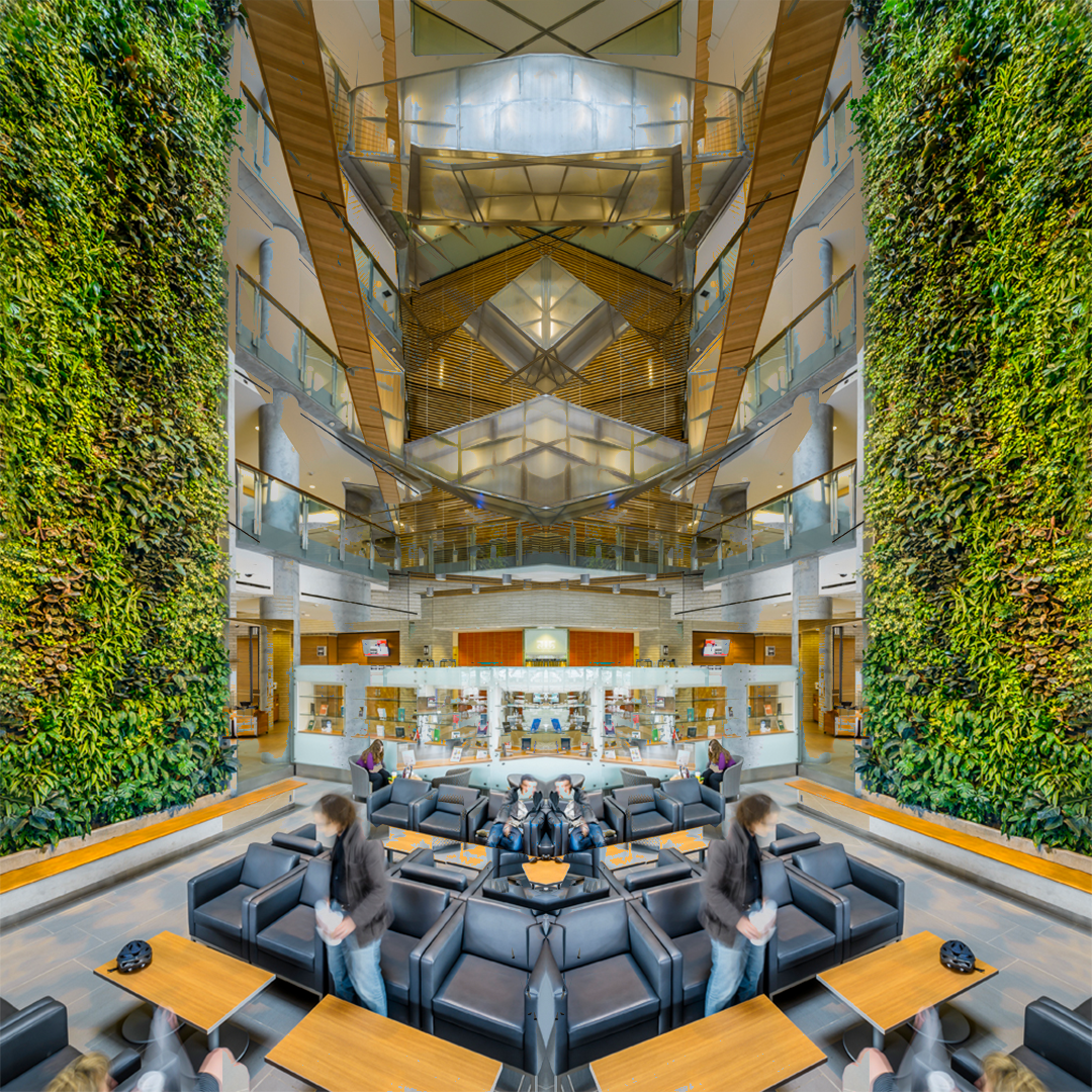 AEDSA atrium visual